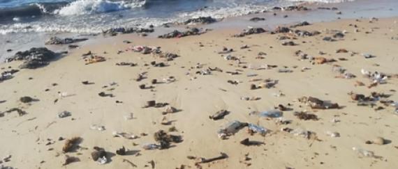 Lixo na praia
