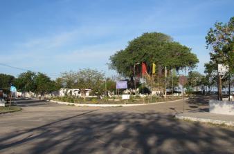 Dia Mundial do Meio Ambiente