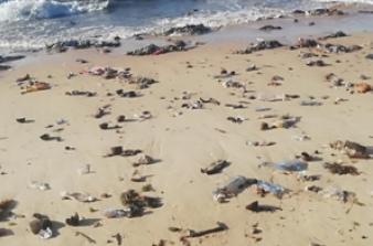 Lixo na praia